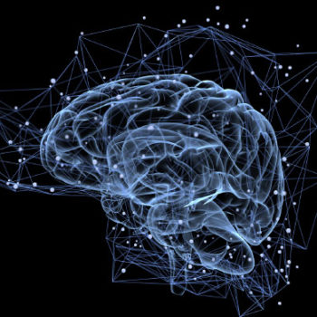 Neuro-Maîtrise